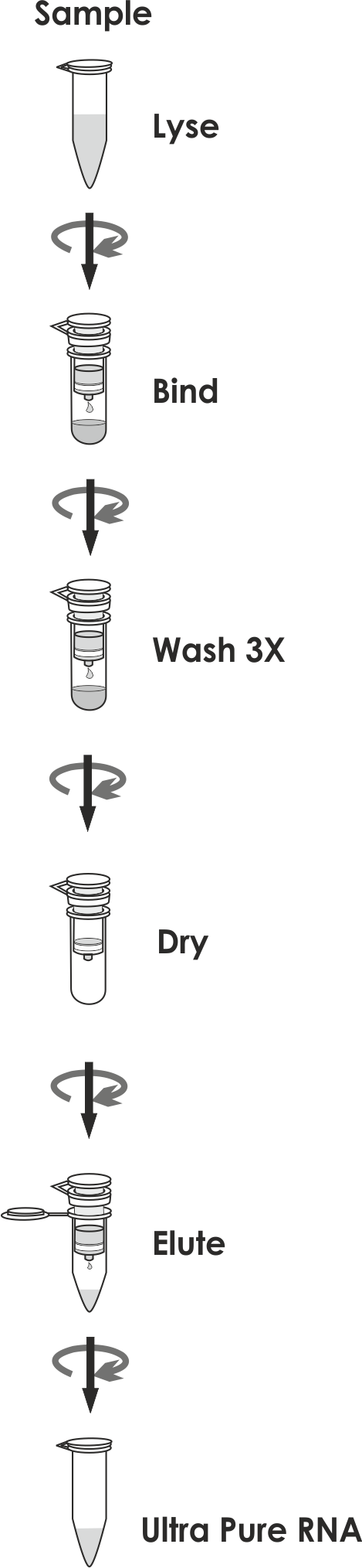 QIAamp Viral RNA Kits, Viral RNA Isolation