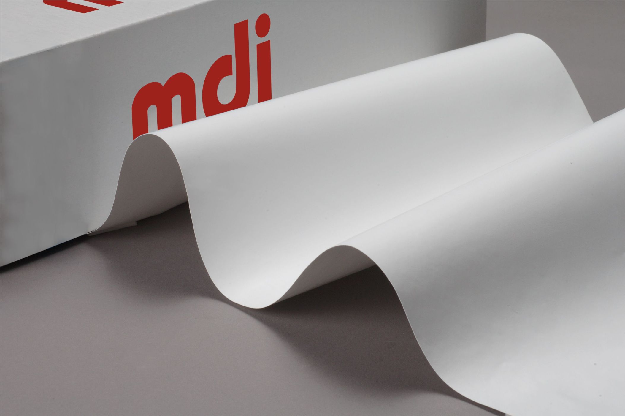 blotting membrane red