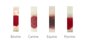 Animal Whole Blood Separators