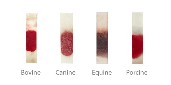 Animal Whole Blood Separators